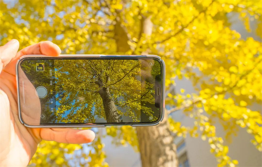 安徽农业大学.jpg 安徽农业大学.jpg