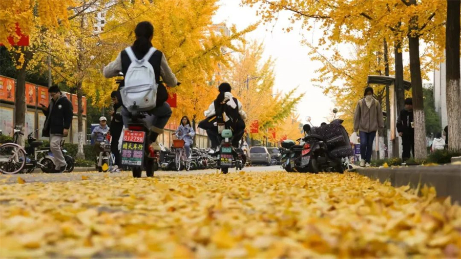 安徽师范大学1.jpg 安徽师范大学1.jpg