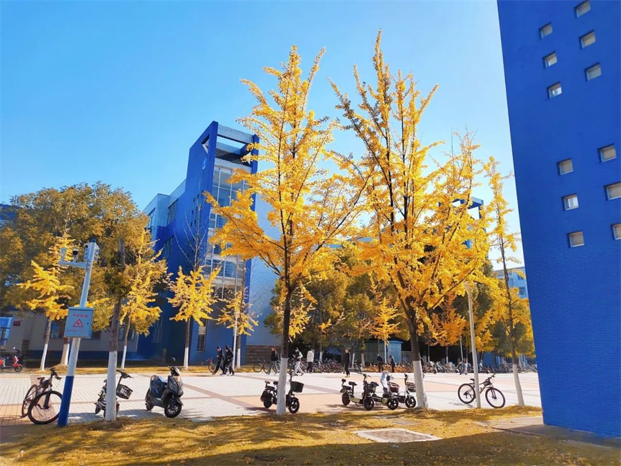 合肥工业大学1.jpg 合肥工业大学1.jpg