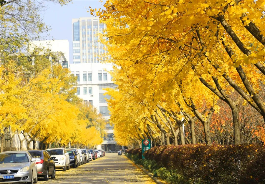 合肥师范学院.jpg 合肥师范学院.jpg