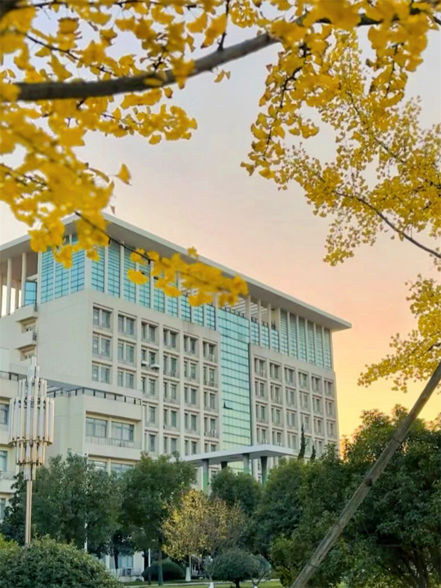 合肥学院1.png 合肥学院1.png