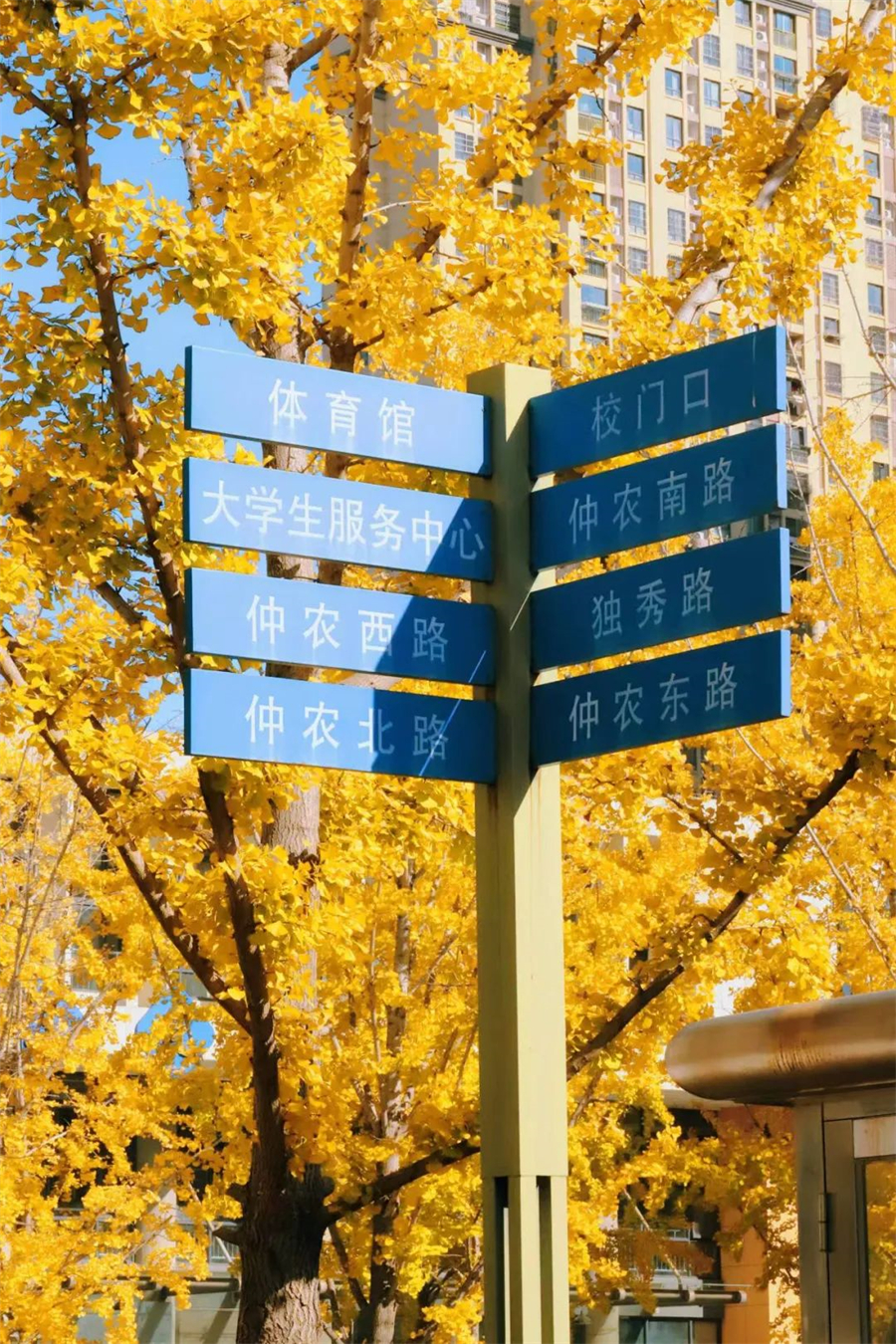 安徽商贸职业技术学院1.jpg 安徽商贸职业技术学院1.jpg